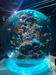 AQUARIUM × ART　atoaに投稿された画像（2024/3/25）