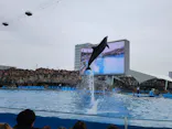名古屋港水族館に投稿された画像（2024/3/25）