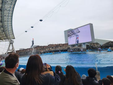 名古屋港水族館に投稿された画像（2024/3/25）