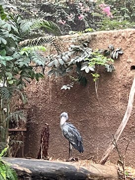 神戸どうぶつ王国に投稿された画像（2024/3/25）