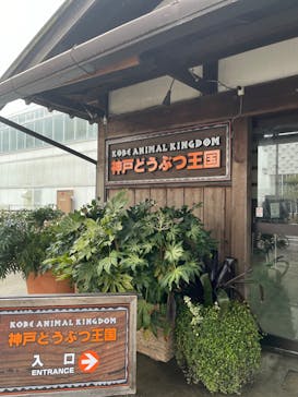 神戸どうぶつ王国に投稿された画像（2024/3/25）