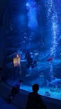 すみだ水族館に投稿された画像（2024/3/25）