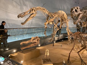 福井県立恐竜博物館に投稿された画像（2024/3/25）