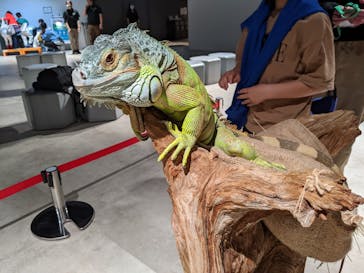 カワスイ 川崎⽔族館に投稿された画像（2024/3/25）