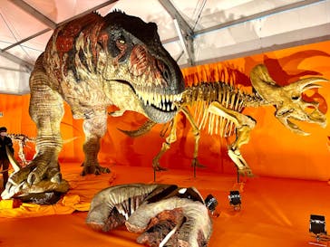 オダイバ恐竜博覧会2024 -福井から“ヤツラ”が新幹線でやってくる！-に投稿された画像（2024/3/25）