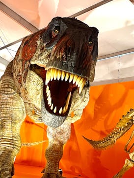 オダイバ恐竜博覧会2024 -福井から“ヤツラ”が新幹線でやってくる！-に投稿された画像（2024/3/25）