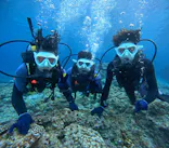 沖縄マリンサービス碧に投稿された画像（2024/3/25）