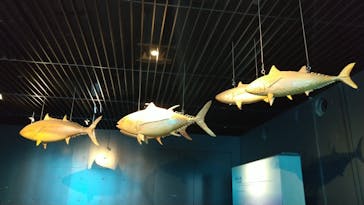 環境水族館アクアマリンふくしまに投稿された画像（2024/3/25）