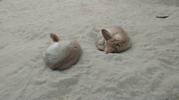 環境水族館アクアマリンふくしまに投稿された画像（2024/3/25）