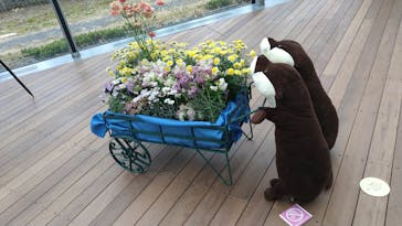 環境水族館アクアマリンふくしまに投稿された画像（2024/3/25）