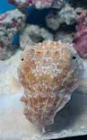 サンシャイン水族館に投稿された画像（2024/3/25）