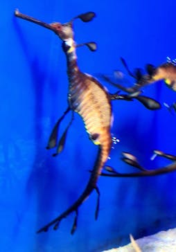 サンシャイン水族館に投稿された画像（2024/3/25）