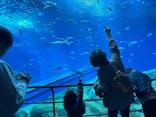 アクアワールド茨城県大洗水族館に投稿された画像（2024/3/25）