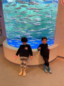 しながわ水族館に投稿された画像（2024/3/25）