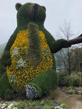 浜名湖花博2024に投稿された画像（2024/3/25）