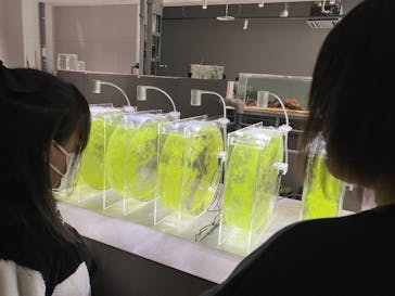 AOAO SAPPOROに投稿された画像（2024/3/25）