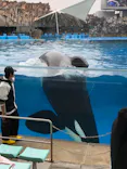 名古屋港水族館に投稿された画像（2024/3/25）