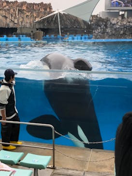 名古屋港水族館に投稿された画像（2024/3/25）