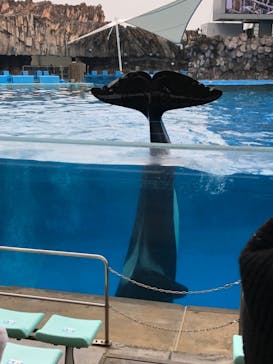 名古屋港水族館に投稿された画像（2024/3/25）