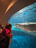 しながわ水族館に投稿された画像（2024/3/25）