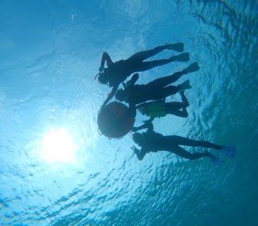 宮古島 ADVENTURE PiPi（ミヤコジマ アドベンチャー ピピ）に投稿された画像（2024/3/25）