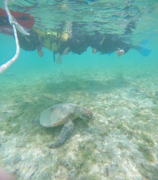 宮古島 ADVENTURE PiPi（ミヤコジマ アドベンチャー ピピ）に投稿された画像（2024/3/25）