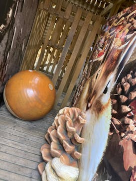 モビリティリゾートもてぎに投稿された画像（2024/3/25）