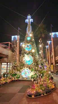 ひらかたパークに投稿された画像（2024/3/25）