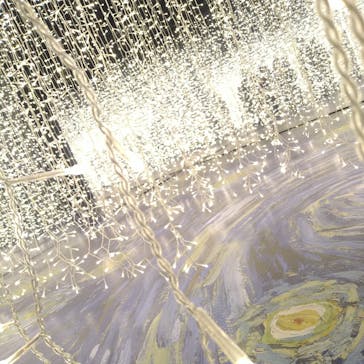 ゴッホ・アライブに投稿された画像（2024/3/25）