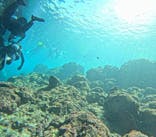 青の洞窟専門店　沖縄ダイビングショップ和に投稿された画像（2024/3/25）