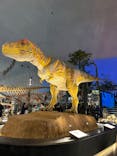 福井県立恐竜博物館に投稿された画像（2024/3/26）