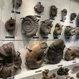 国立科学博物館に投稿された画像（2024/3/26）