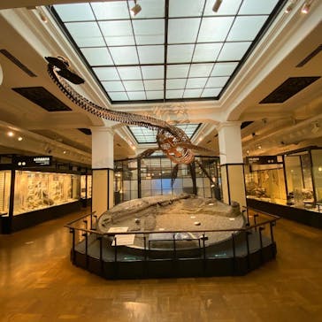 国立科学博物館に投稿された画像（2024/3/25）