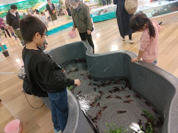 いきもの探検隊湘南に投稿された画像（2024/3/25）