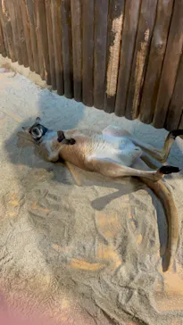 ひらかたパークに投稿された画像（2024/3/25）