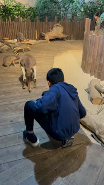 ひらかたパークに投稿された画像（2024/3/25）