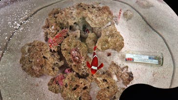 マクセル アクアパーク品川に投稿された画像（2024/3/25）