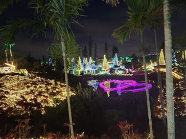 美らヤシパークオキナワ・東南植物楽園に投稿された画像（2024/3/25）