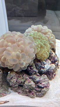 AOAO SAPPOROに投稿された画像（2024/3/25）