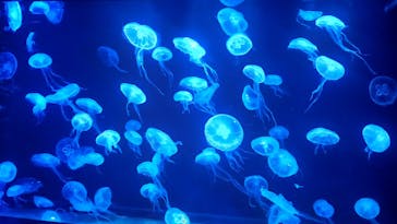 AOAO SAPPOROに投稿された画像（2024/3/25）