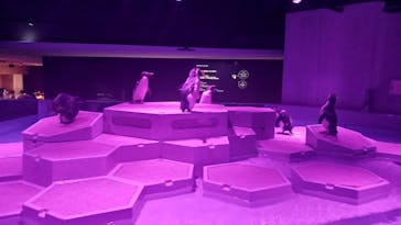 AOAO SAPPOROに投稿された画像（2024/3/25）