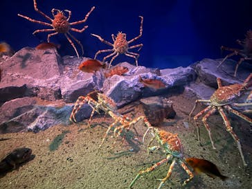 名古屋港水族館に投稿された画像（2024/3/25）