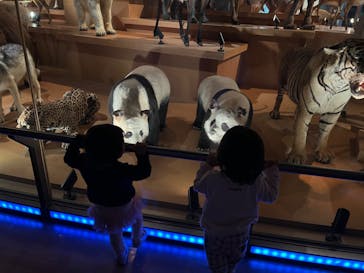 国立科学博物館に投稿された画像（2024/3/25）