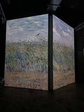 ゴッホ・アライブに投稿された画像（2024/3/25）