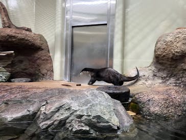 仙台うみの杜水族館に投稿された画像（2024/3/25）