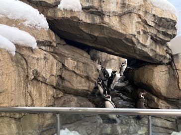 仙台うみの杜水族館に投稿された画像（2024/3/25）