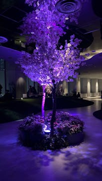 サンシャイン60展望台に投稿された画像（2024/3/26）