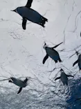 サンシャイン水族館に投稿された画像（2024/3/26）