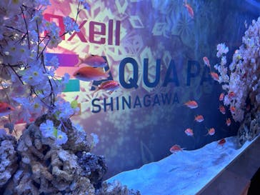 マクセル アクアパーク品川に投稿された画像（2024/3/26）