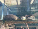 サンシャイン水族館に投稿された画像（2024/3/26）